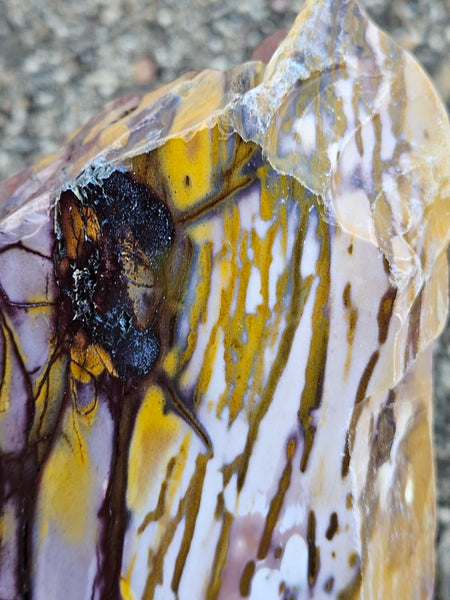 Polished Mookaite display specimen MK607