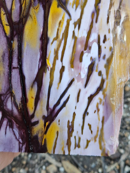 Polished Mookaite display specimen MK607