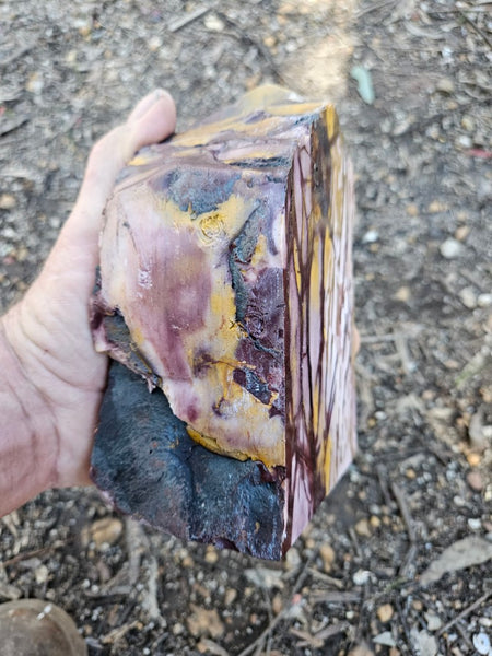 Polished Mookaite display specimen MK607