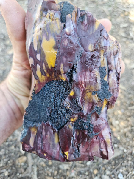 Polished Mookaite display specimen MK607