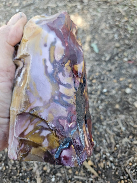 Polished Mookaite display specimen MK607
