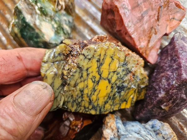 Mixed  rough. AMR104