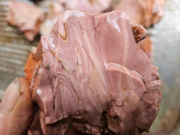 Rough  Pink Opal POR184