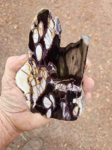 Polished Peanut Wood slab PW359