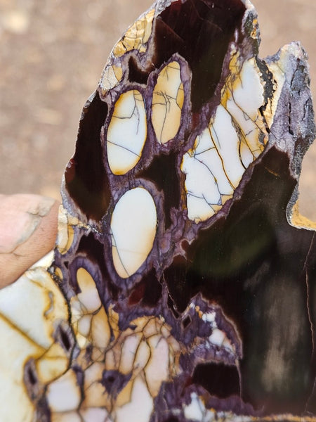 Polished Peanut Wood slab PW359
