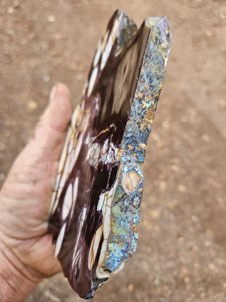 Polished Peanut Wood slab PW359