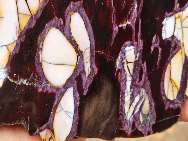 Polished Peanut Wood slab PW359