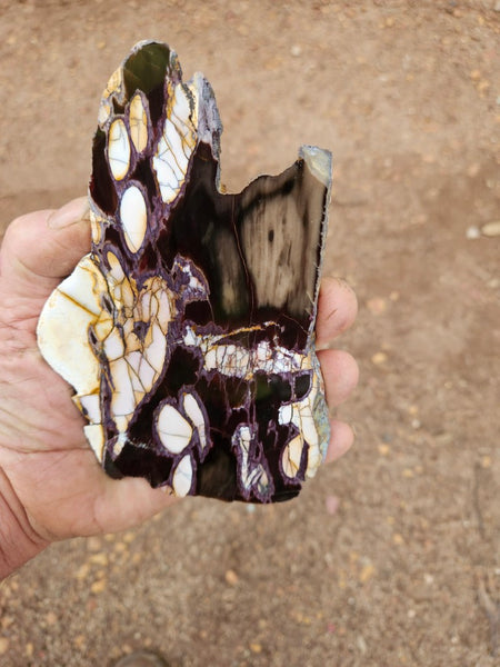 Polished Peanut Wood slab PW359