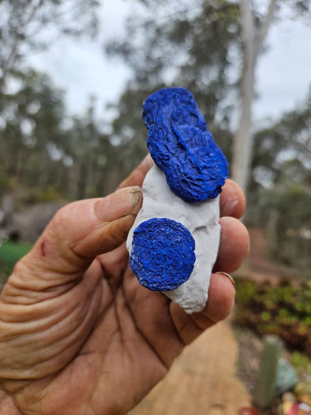 Azurite Sun  AZ210