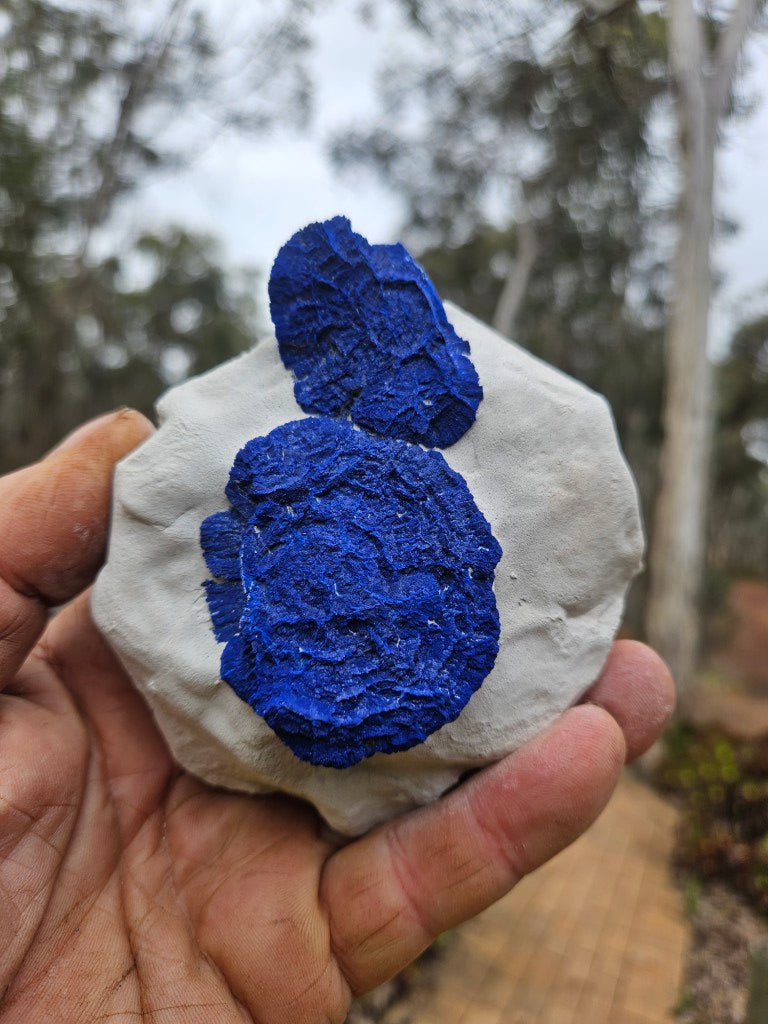 Azurite Sun  AZ211
