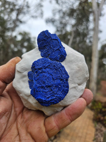 Azurite Sun  AZ211