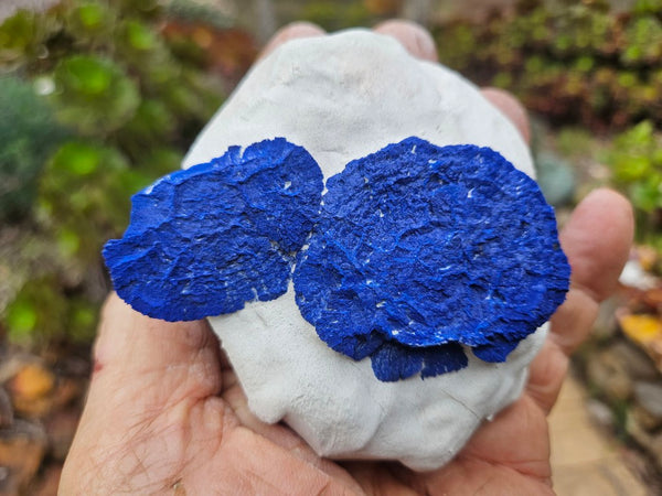 Azurite Sun  AZ211