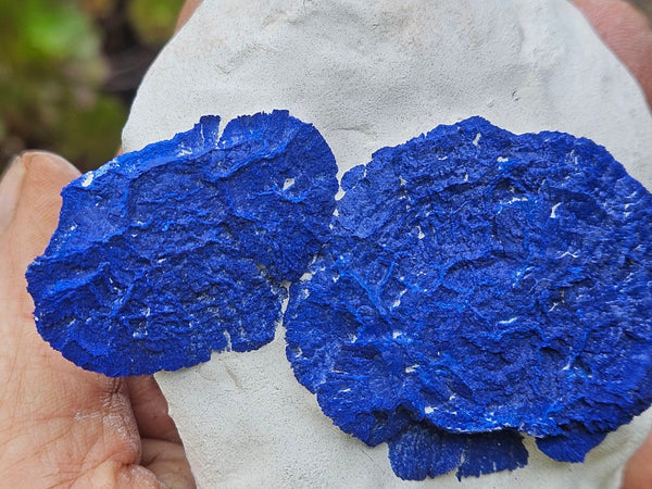 Azurite Sun  AZ211