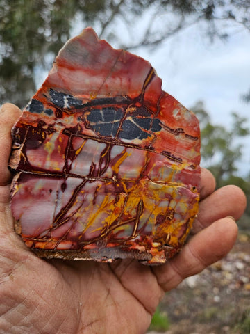 Sunset Jasper polished  SU209