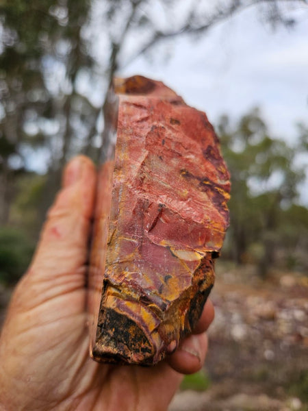 Sunset Jasper polished  SU209