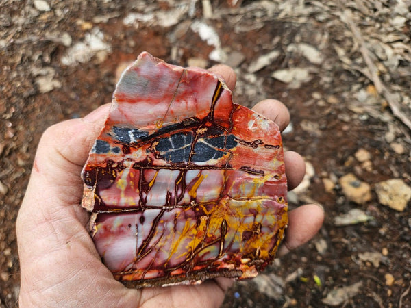 Sunset Jasper polished  SU209