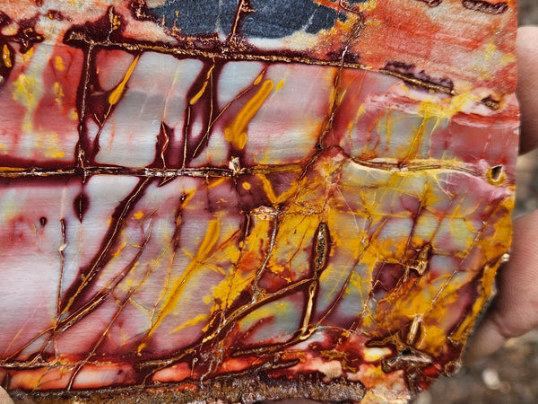 Sunset Jasper polished  SU209