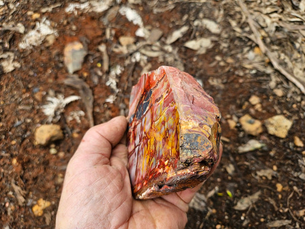Sunset Jasper polished  SU209