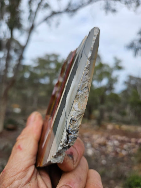 Sunset Jasper polished slab SU208