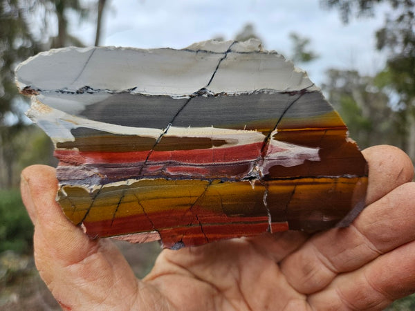 Sunset Jasper polished slab SU208