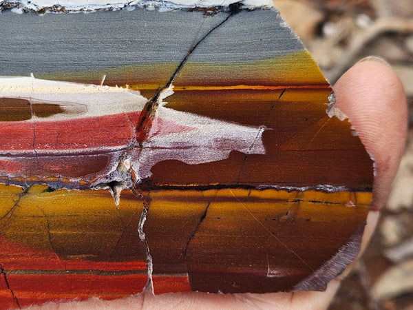 Sunset Jasper polished slab SU208