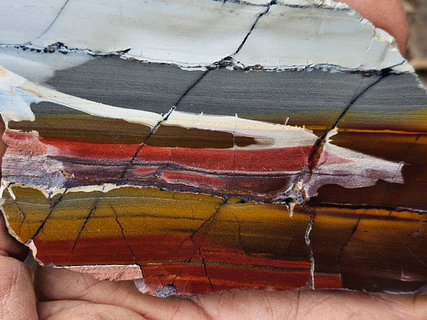 Sunset Jasper polished slab SU208