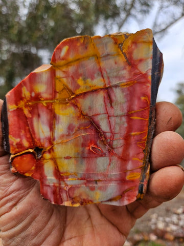 Sunset Jasper polished slab SU206