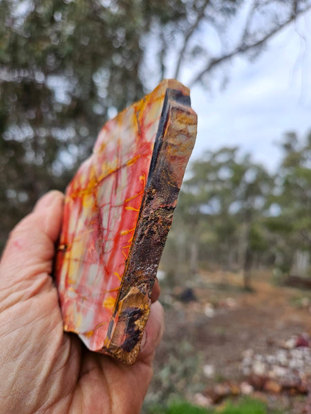 Sunset Jasper polished slab SU206
