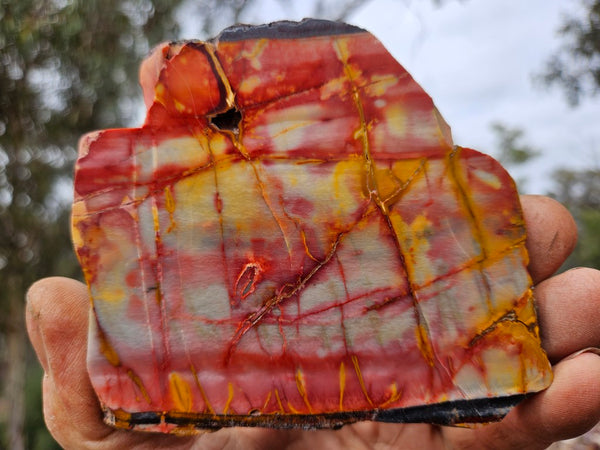 Sunset Jasper polished slab SU206