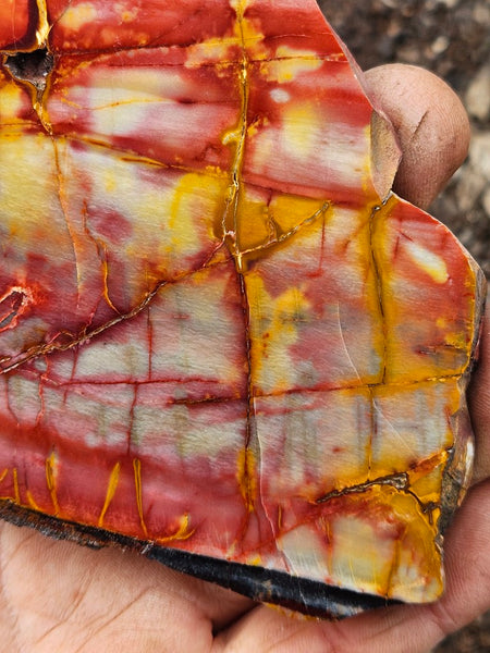 Sunset Jasper polished slab SU206