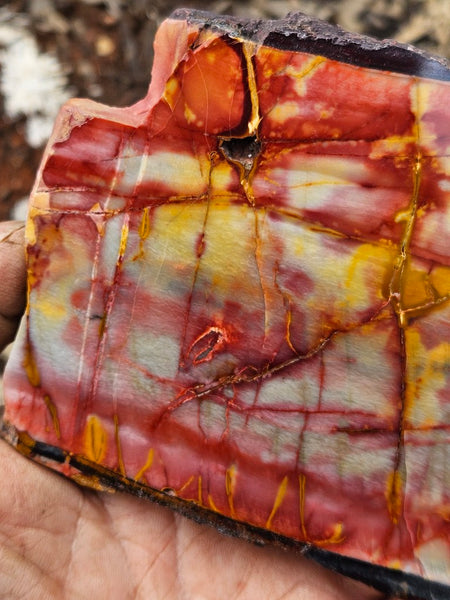 Sunset Jasper polished slab SU206