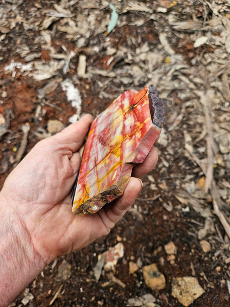 Sunset Jasper polished slab SU206