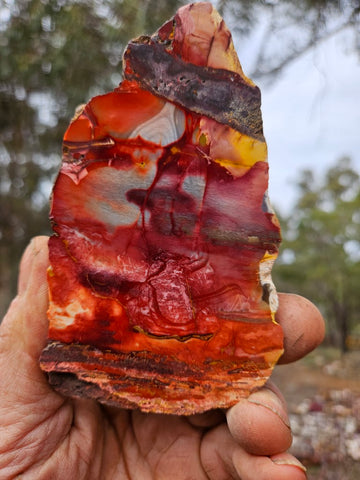 Sunset Jasper polished slab SU207