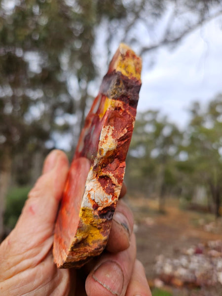 Sunset Jasper polished slab SU207