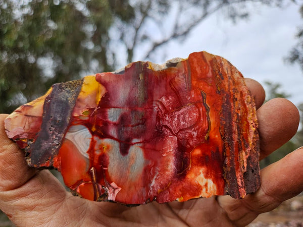 Sunset Jasper polished slab SU207