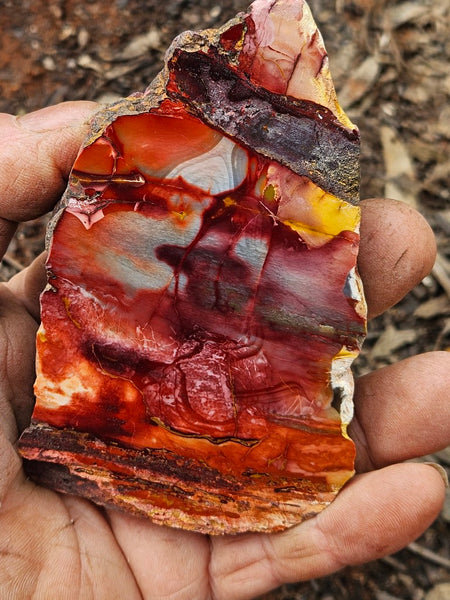 Sunset Jasper polished slab SU207