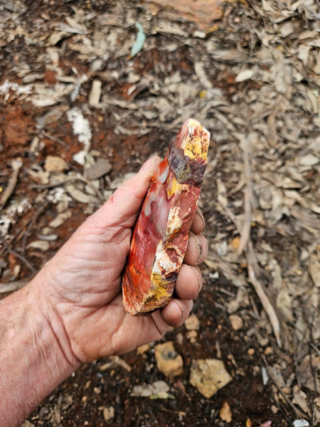 Sunset Jasper polished slab SU207