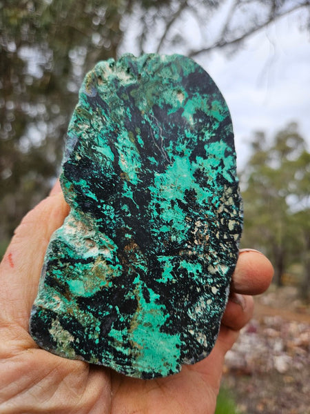 Polished De Grussa copper ore .  CO149