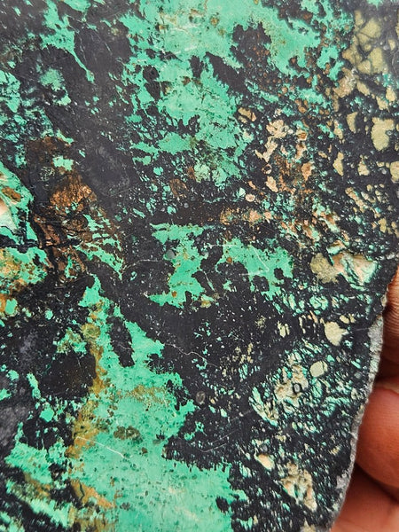 Polished De Grussa copper ore .  CO149