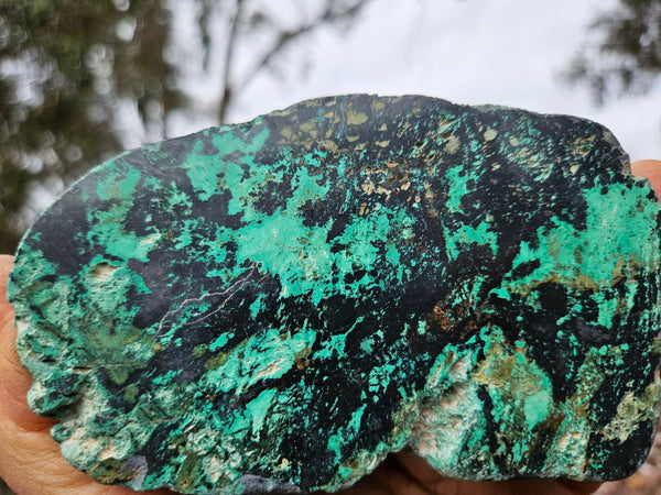Polished De Grussa copper ore .  CO149