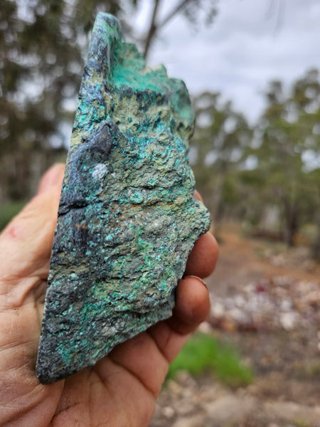 Polished De Grussa copper ore .  CO149