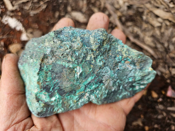 Polished De Grussa copper ore .  CO149