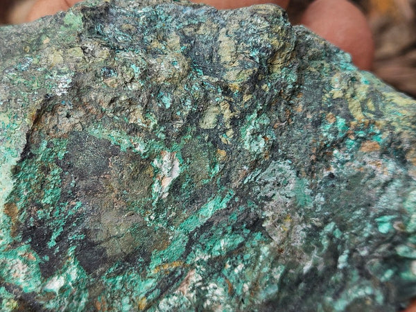 Polished De Grussa copper ore .  CO149