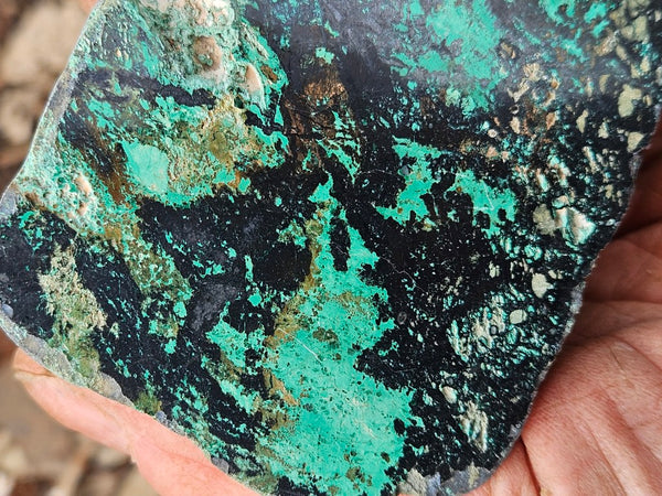 Polished De Grussa copper ore .  CO149