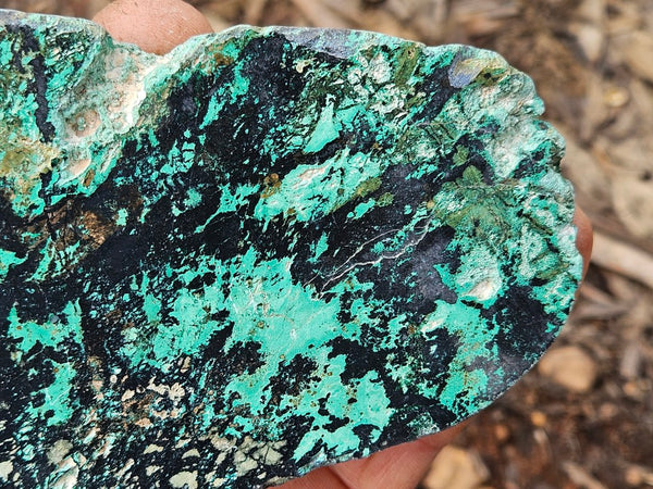 Polished De Grussa copper ore .  CO149