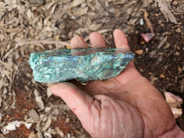 Polished De Grussa copper ore .  CO149