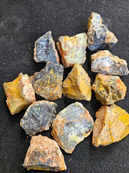 Dendritic Opal  rough.  DOR286