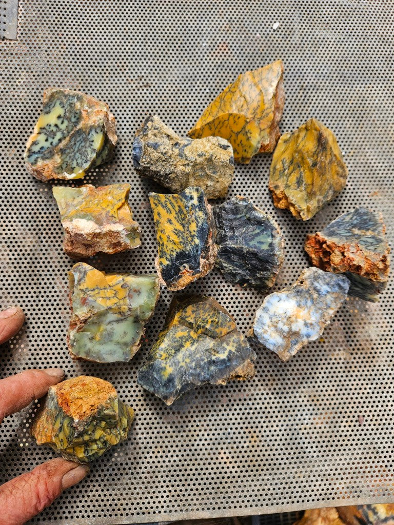 Dendritic Opal  rough.  DOR286