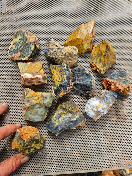 Dendritic Opal  rough.  DOR286