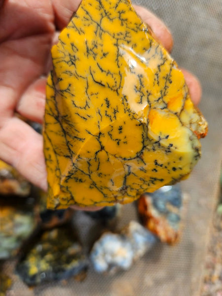 Dendritic Opal  rough.  DOR286